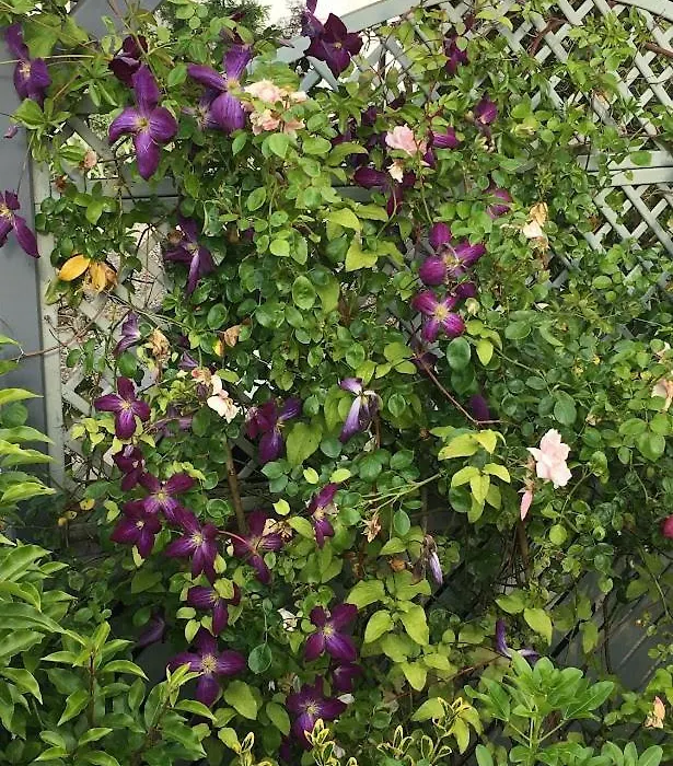 Kilbawn Country House-1
